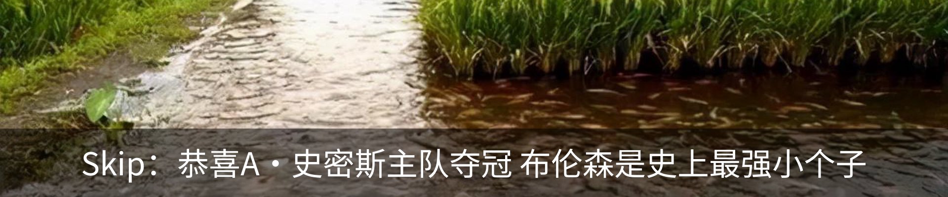 行业资讯