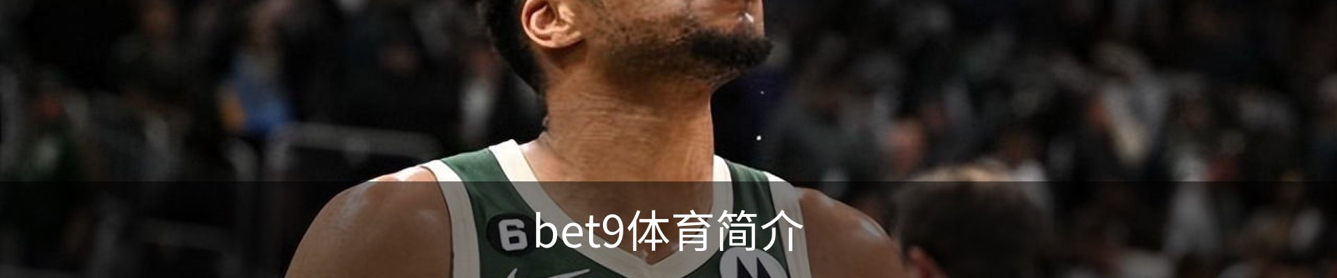 bet9体育简介